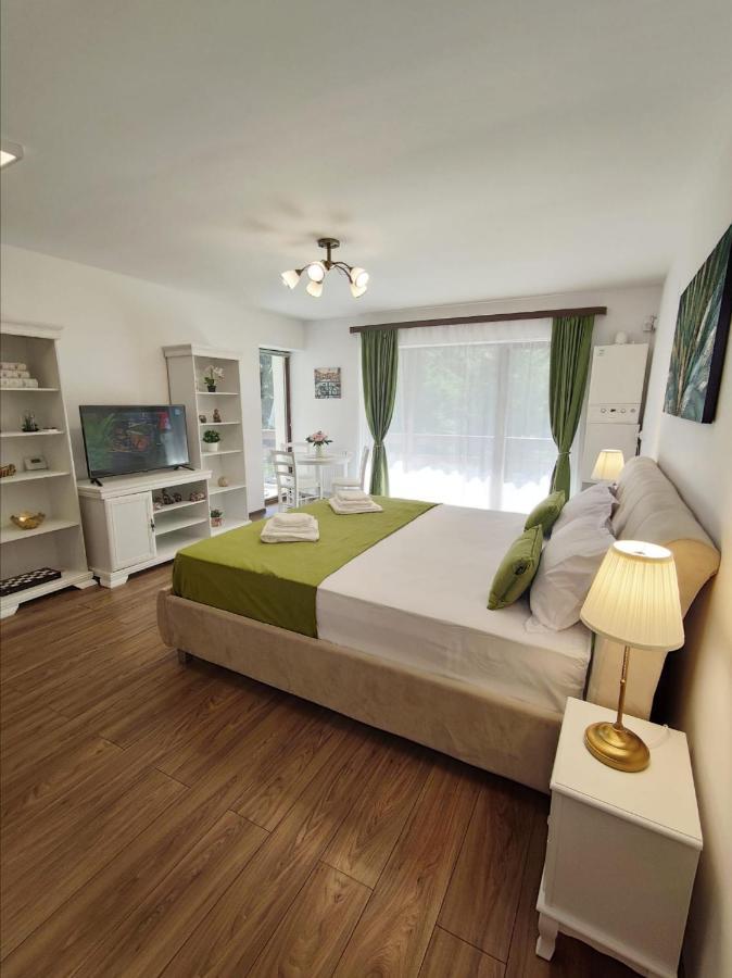 Green Studio Predeal Exterior foto