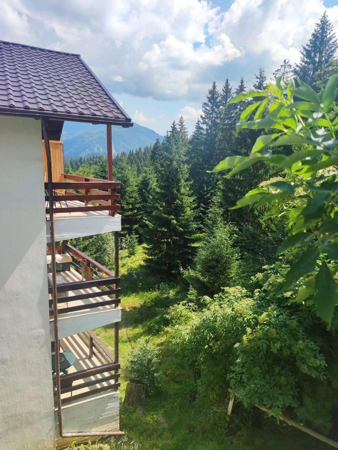 Green Studio Predeal Exterior foto